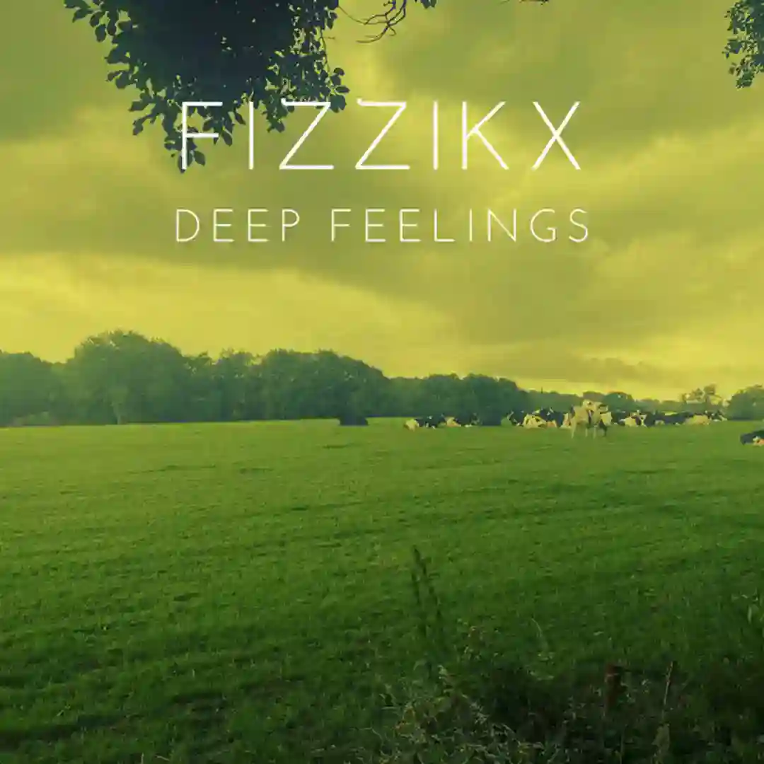Deep Feelings cover