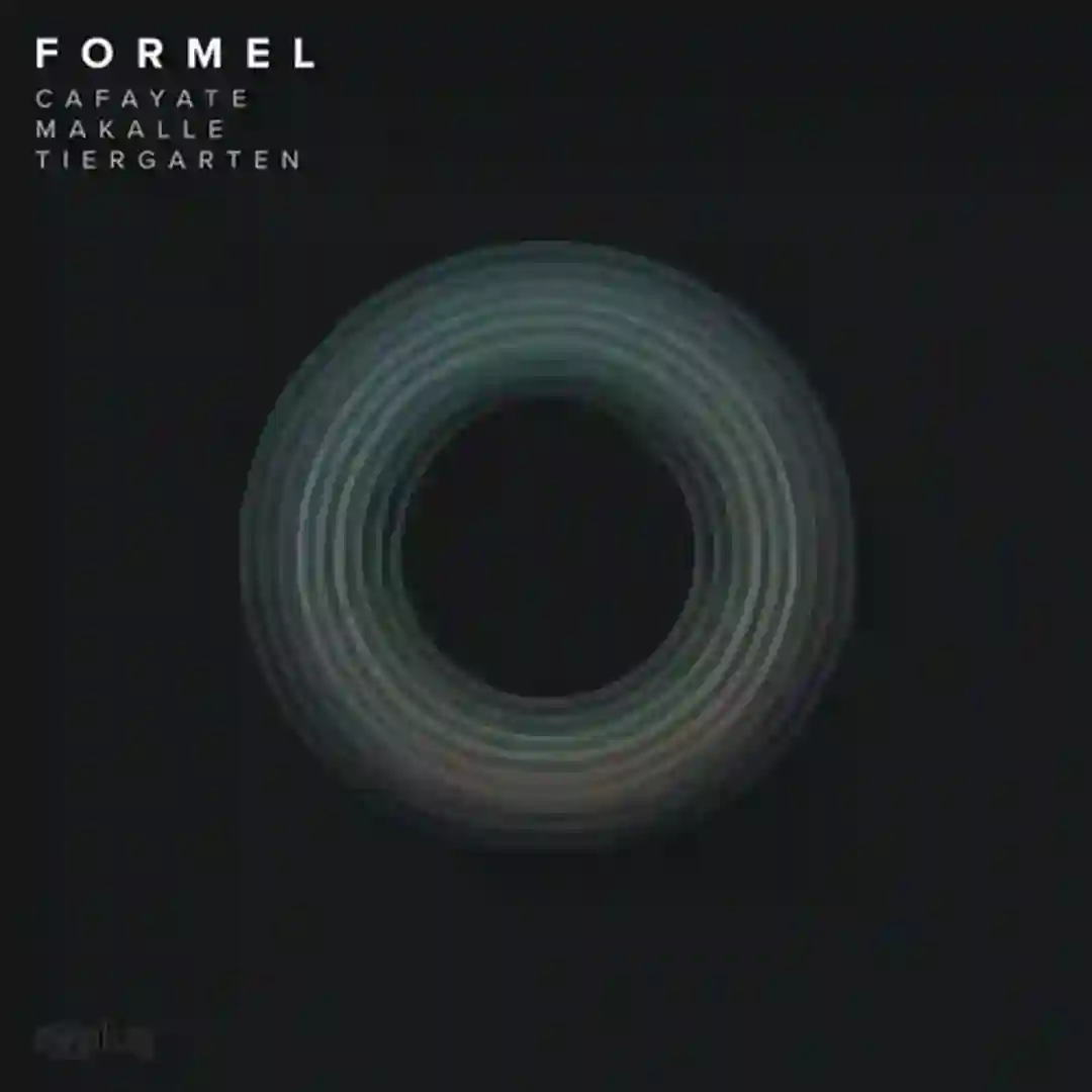 Tiergarten (Original Mix) cover