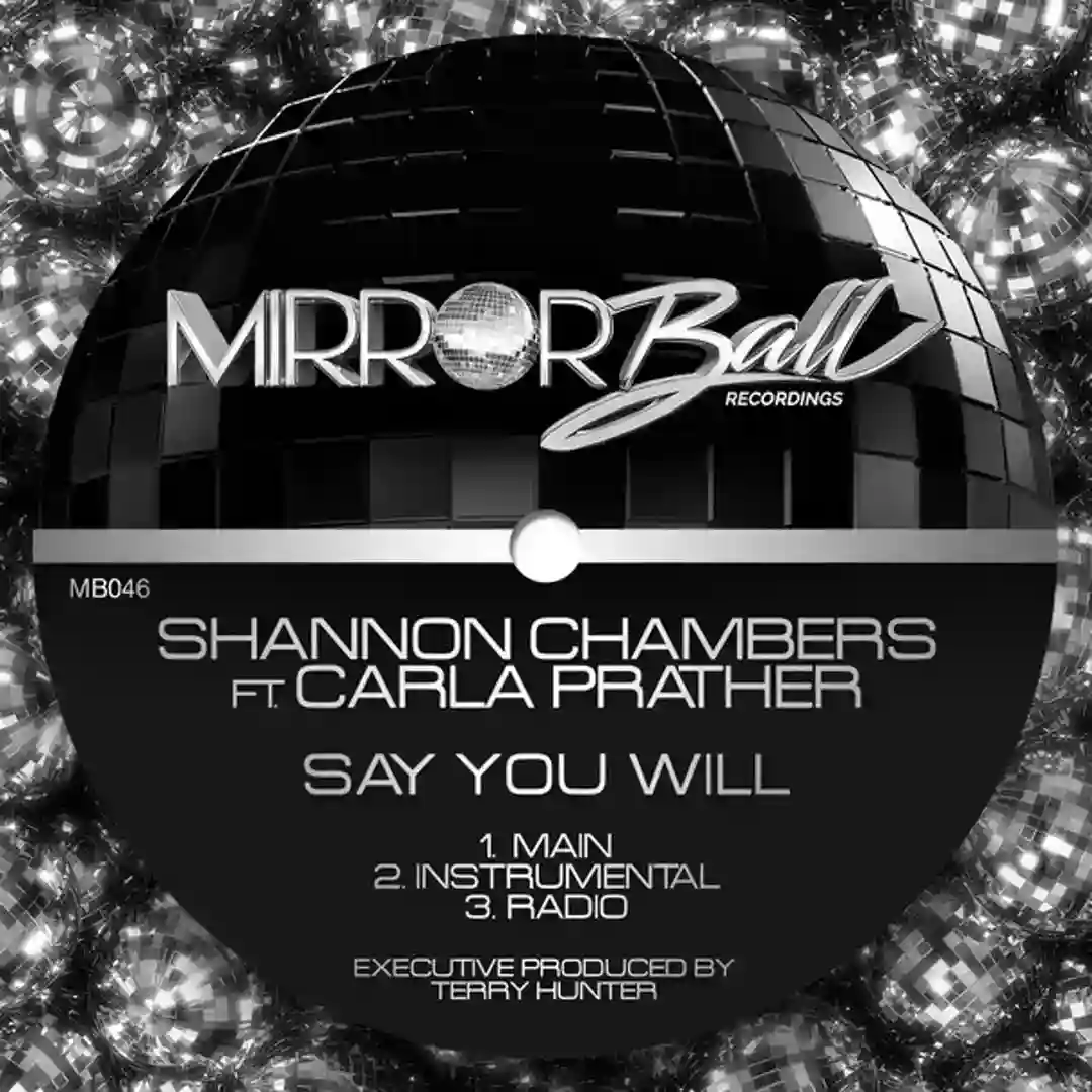 Say You Will (Radio) cover
