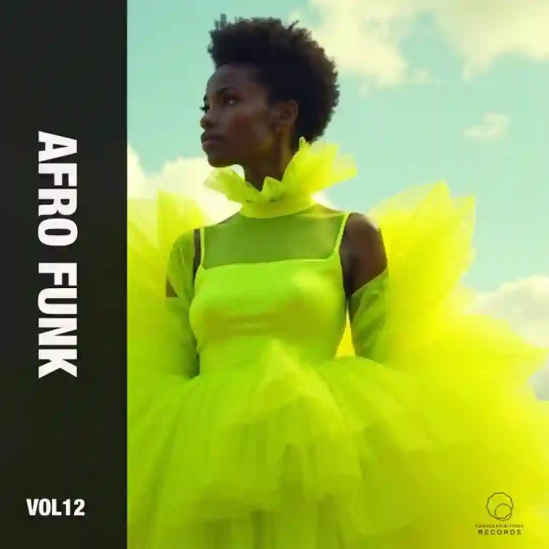 Afro Funk Vol 12 cover