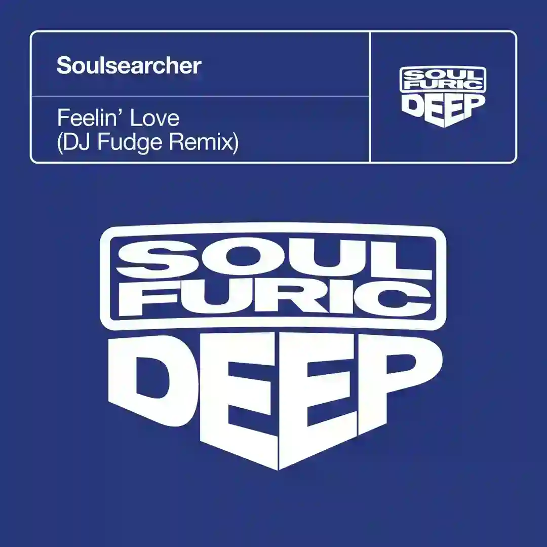 Feelin' Love (DJ Fudge Extended Remix) cover
