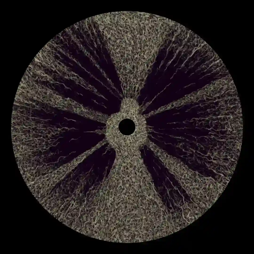 SU RIDDIM (ANNO STAMM REMIX) cover