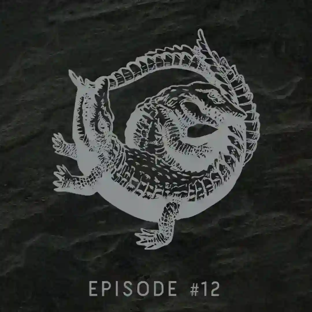 Episode #12 cover