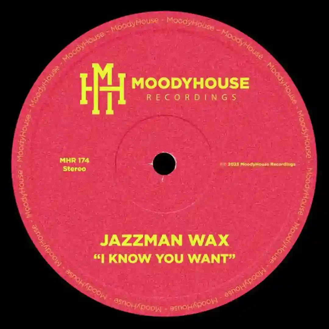I Know You Want cover