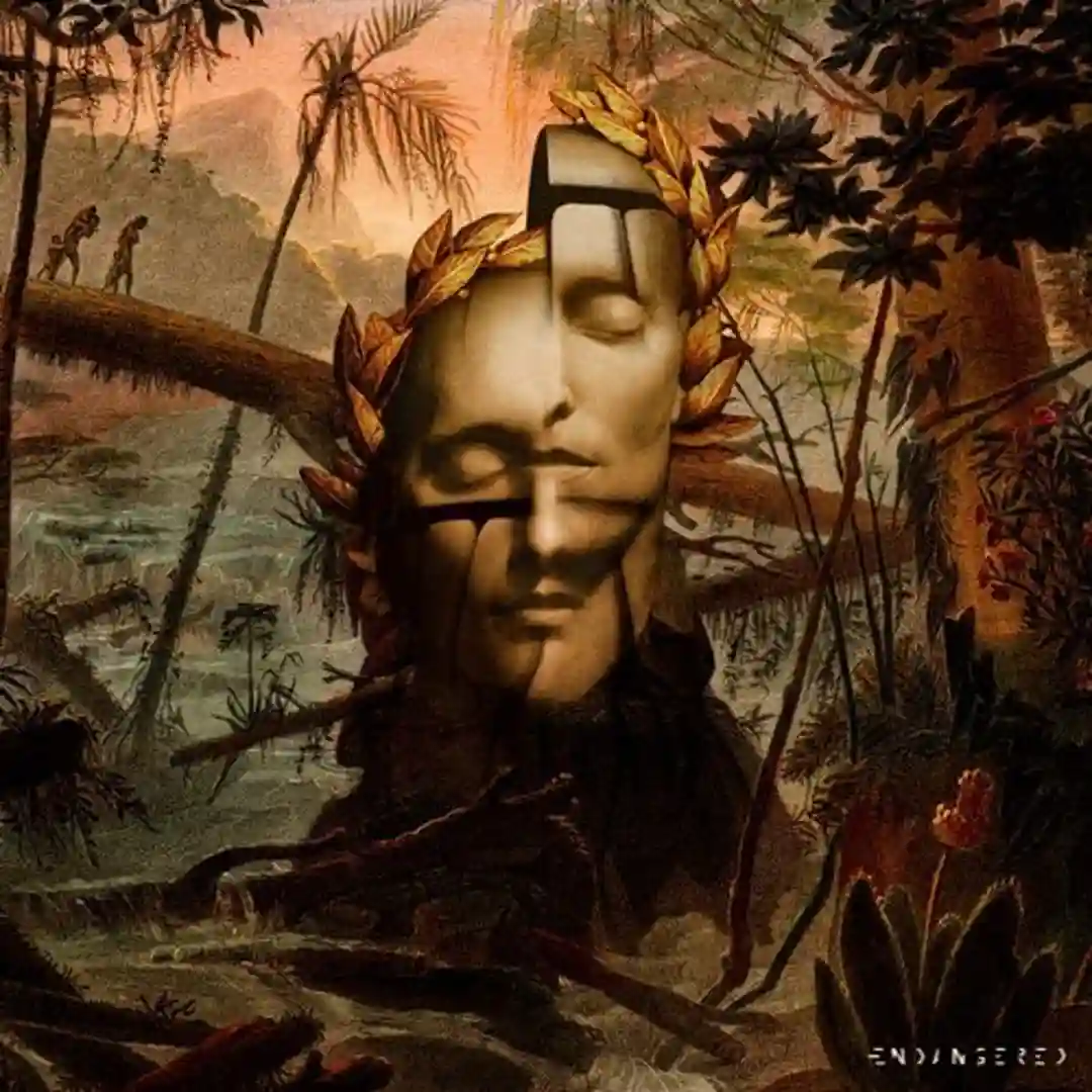 Optics (Original Mix) cover