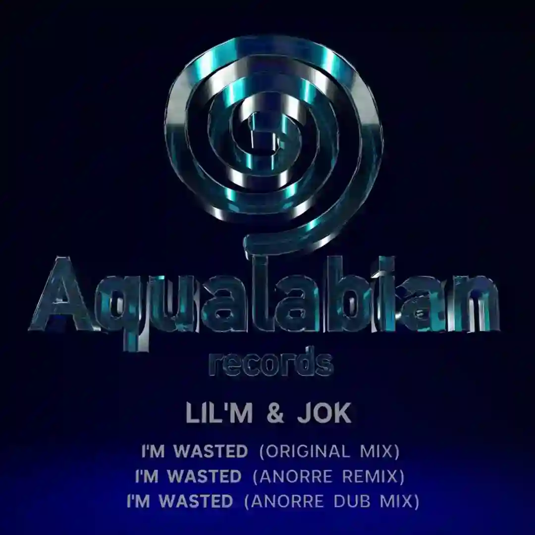I'm Wasted (Anorre Remix) cover