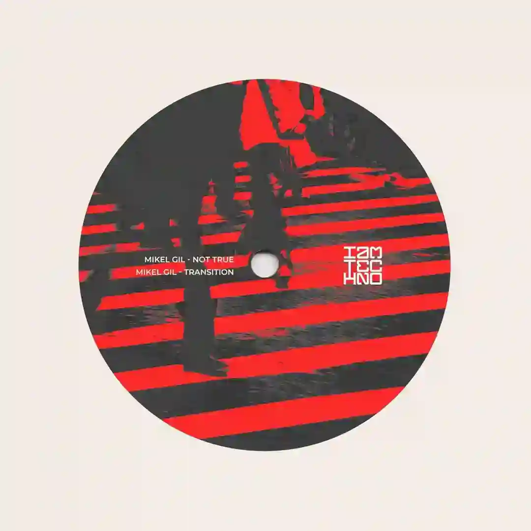 Not True / Transition cover