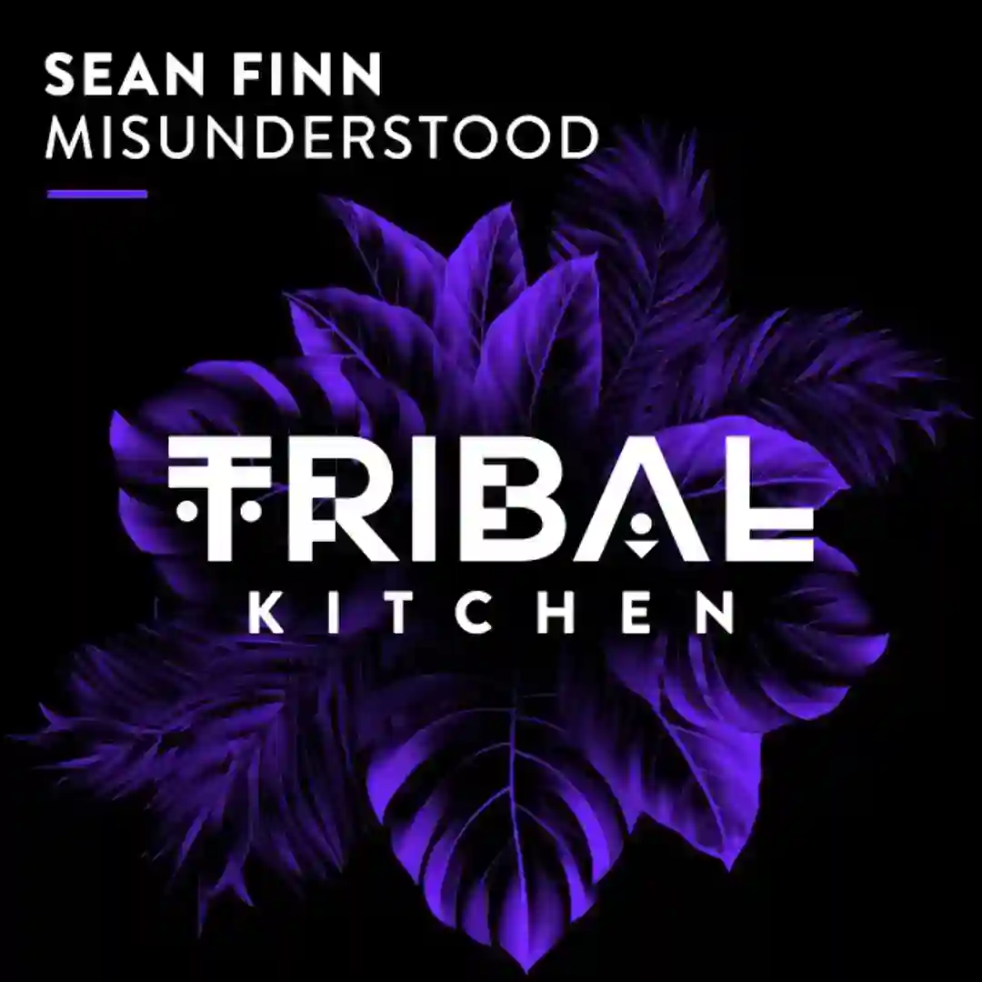 Misunderstood cover