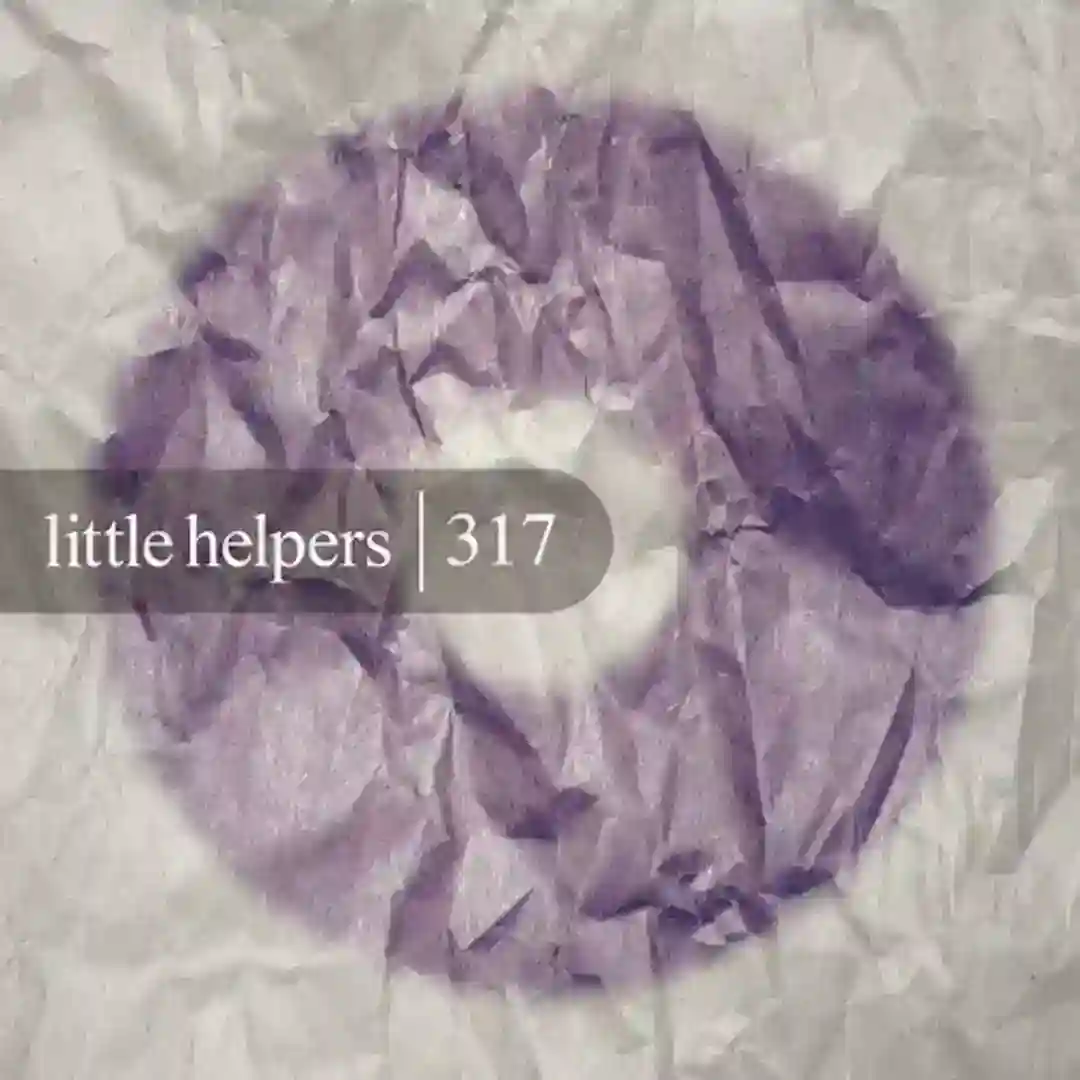Little Helper 317-5 (Original Mix) cover