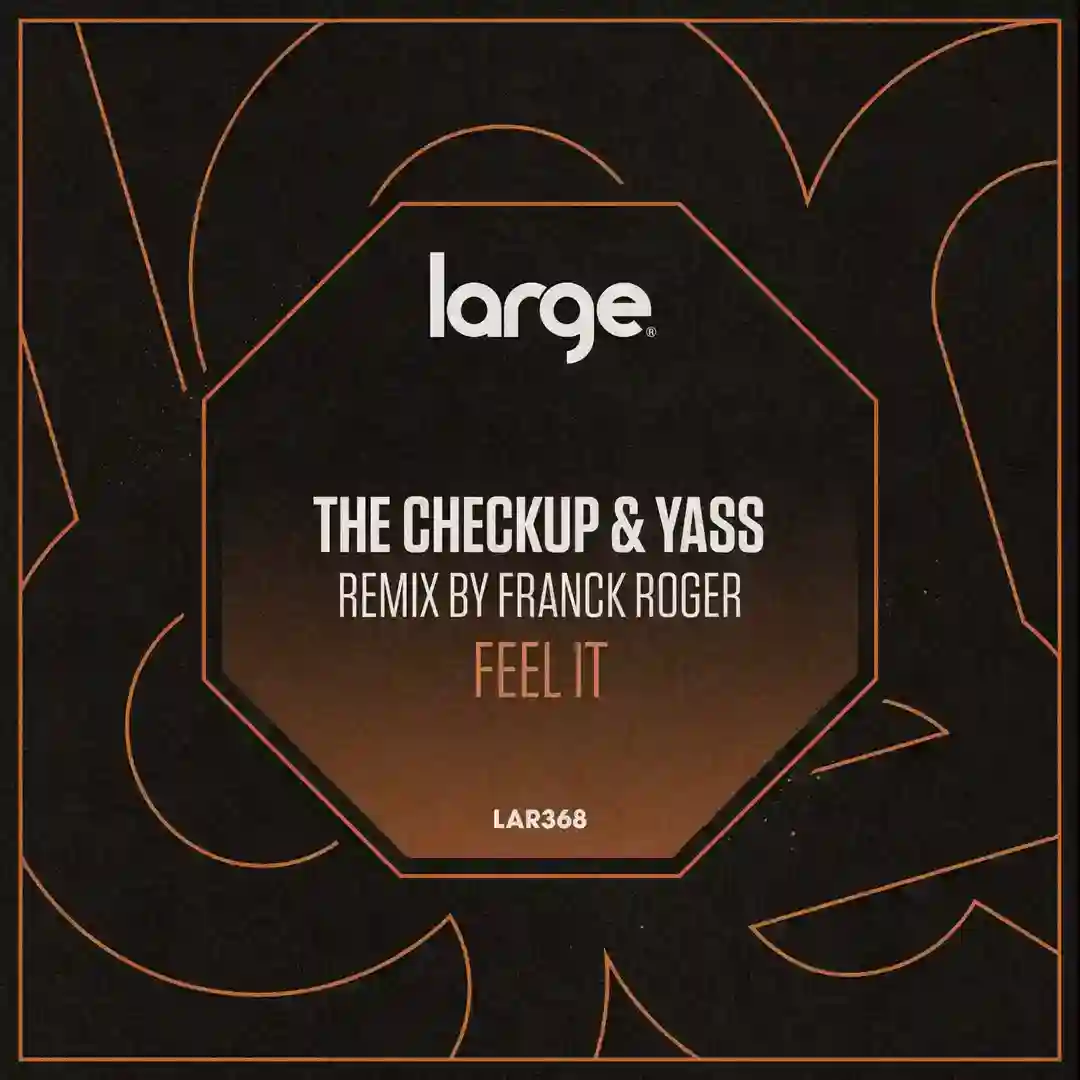 Feel It (Franck Roger Remix) cover