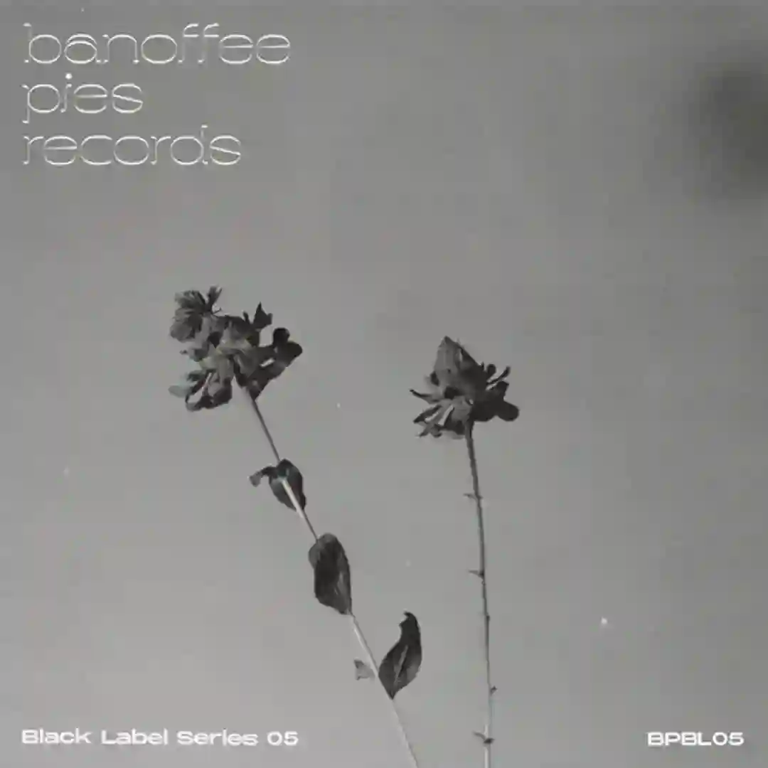 Terp Flavours cover
