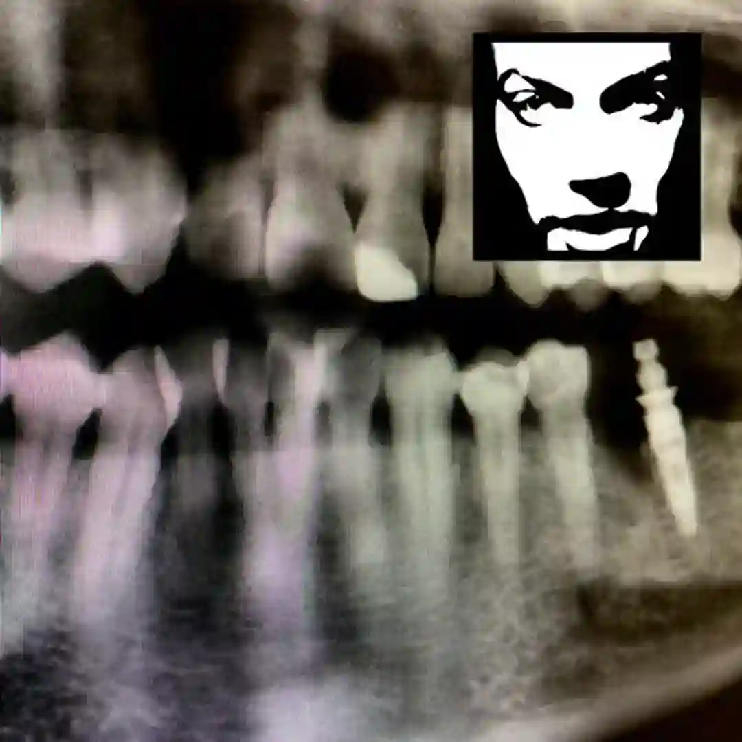 Head Related (Tim Xavier Remix) cover