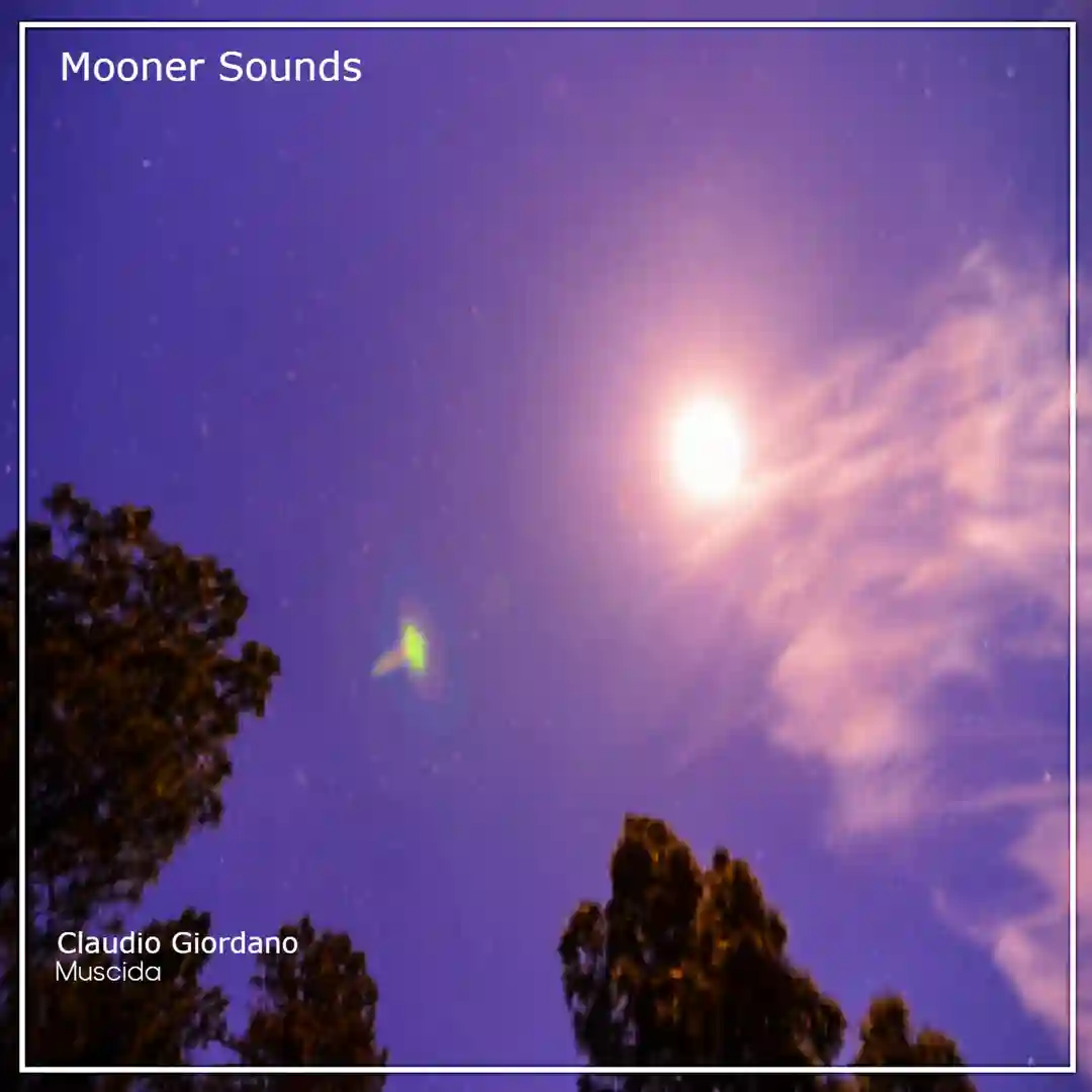 Muscida cover
