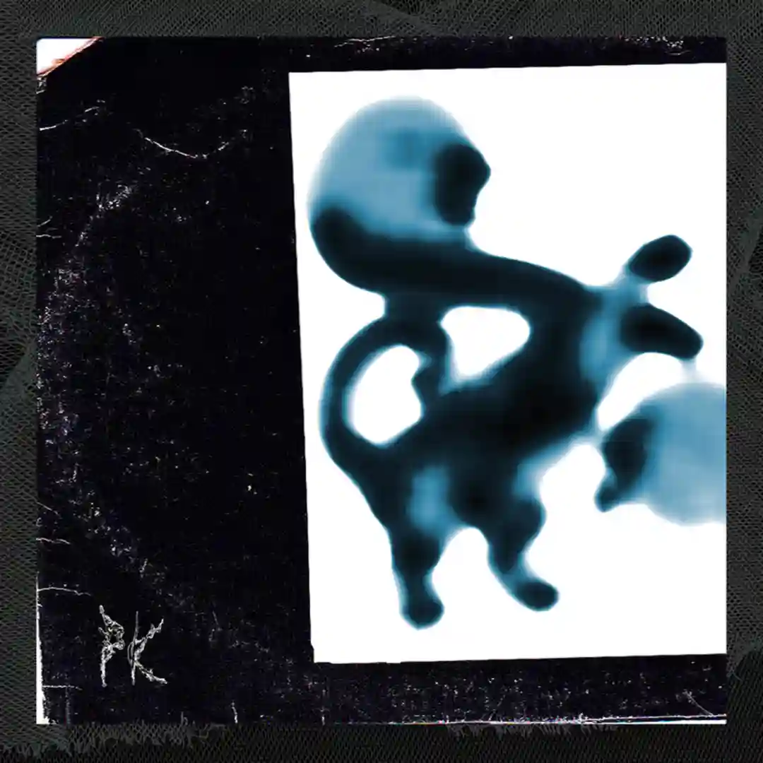 The Price (fka boursin's Boomkat Mix) cover