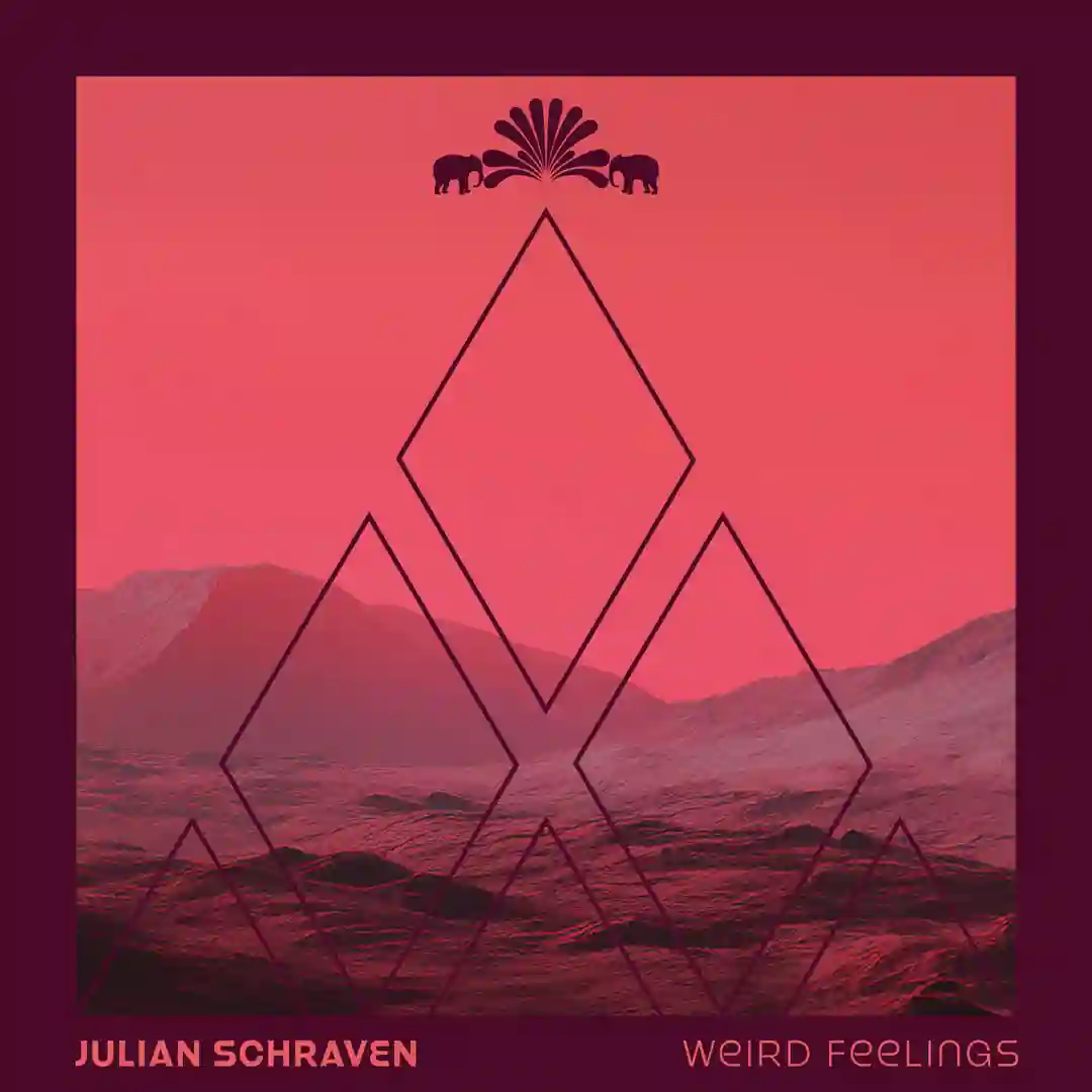 Weird Feelings cover