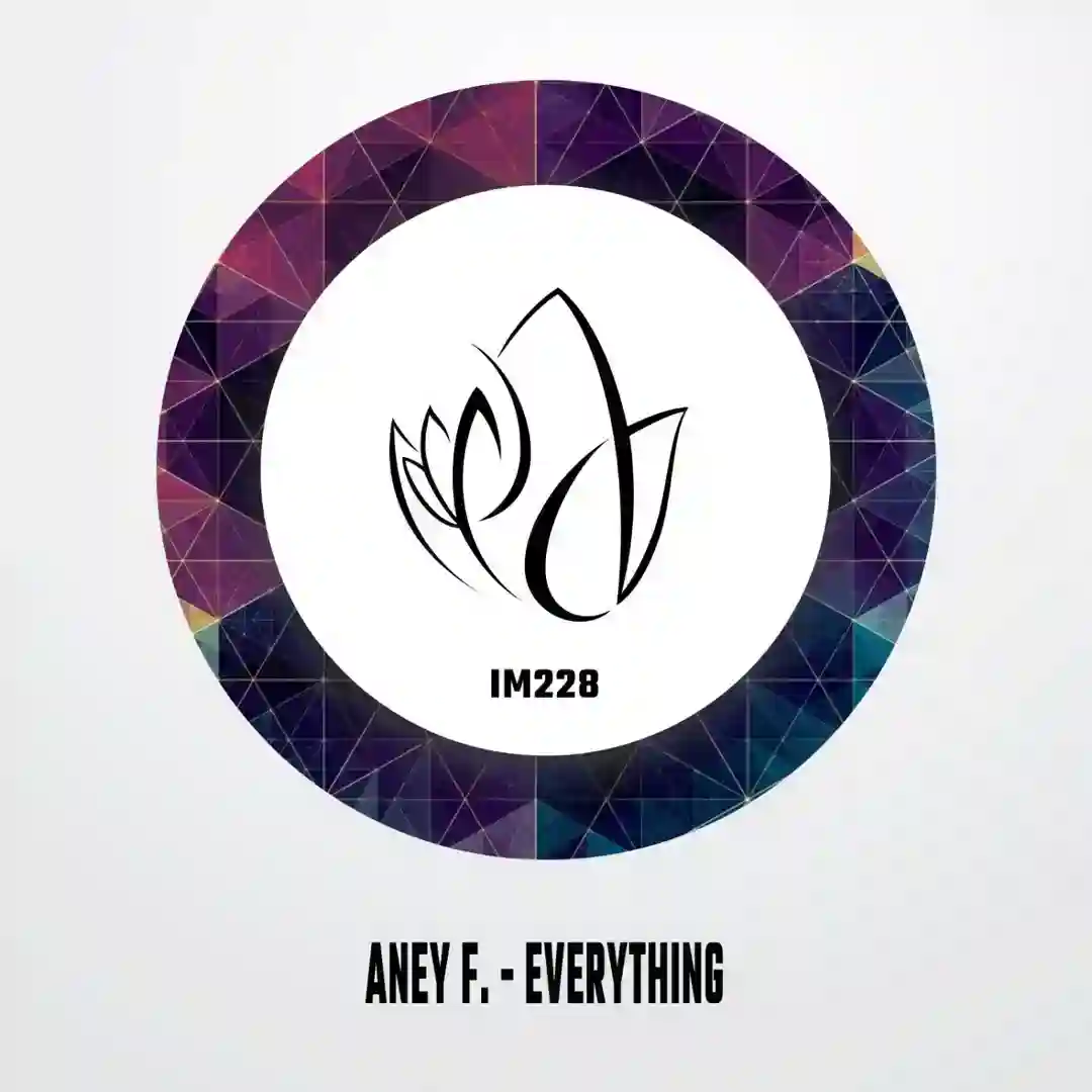 Everything (Original Mix) cover