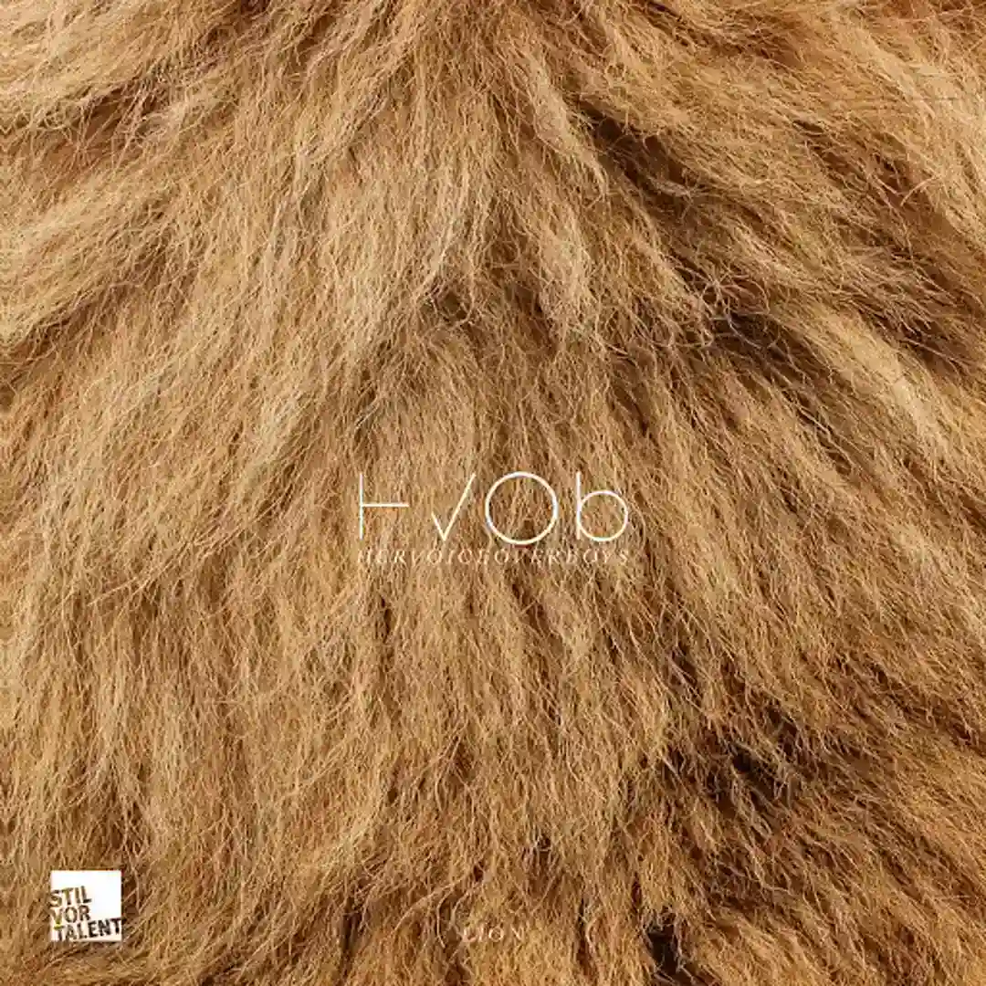 Lion (Stimming Remix) cover