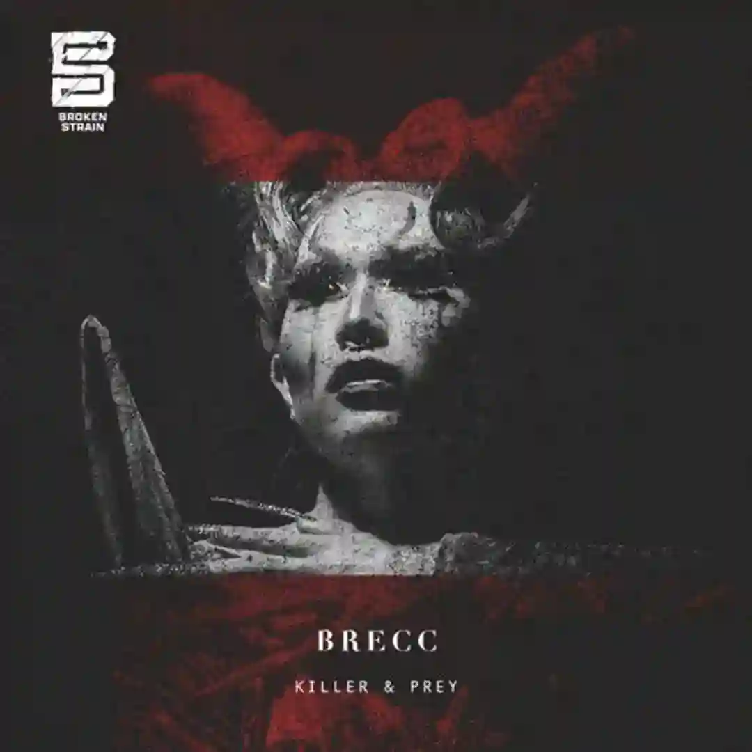 Killer and Prey (Original Mix) cover