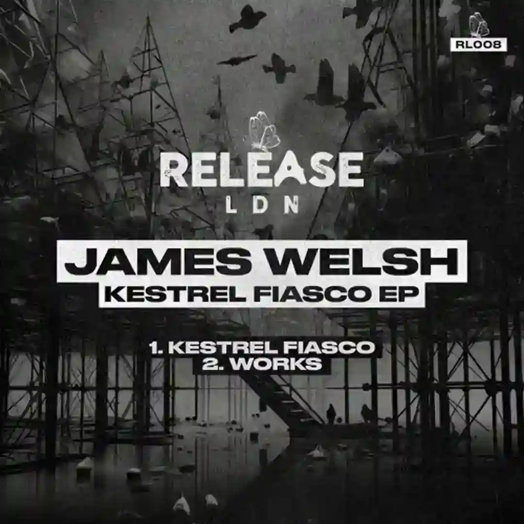 Kestrel Fiasco cover