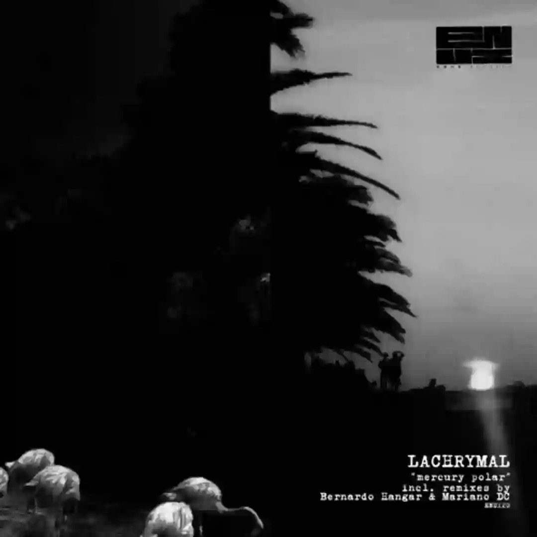 Temporal anomaly (Remix) cover