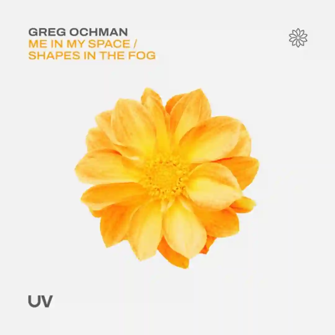 Shapes in the Fog (Original Mix) cover