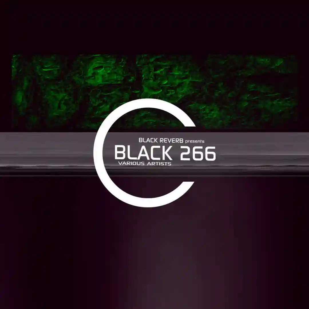 Blume (Original Mix) cover