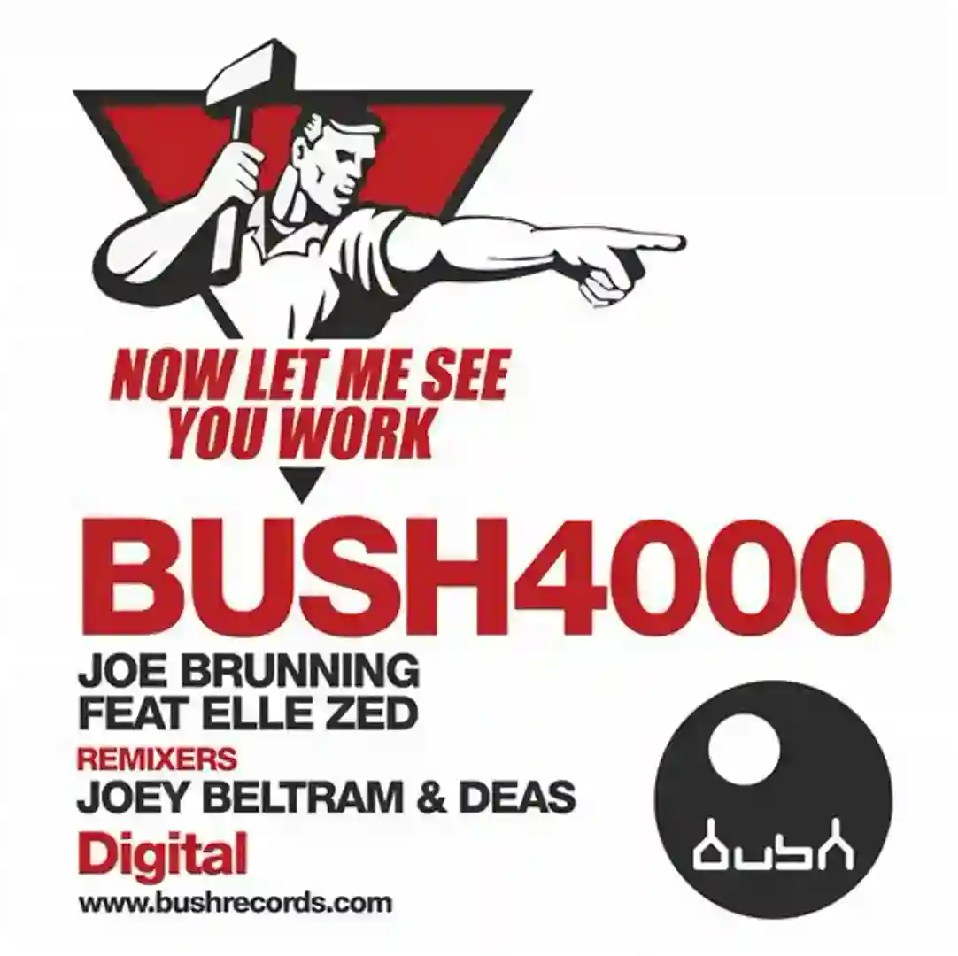 Now Let Me See You Work Feat. Elle Zed (Joey Beltram Mix) cover