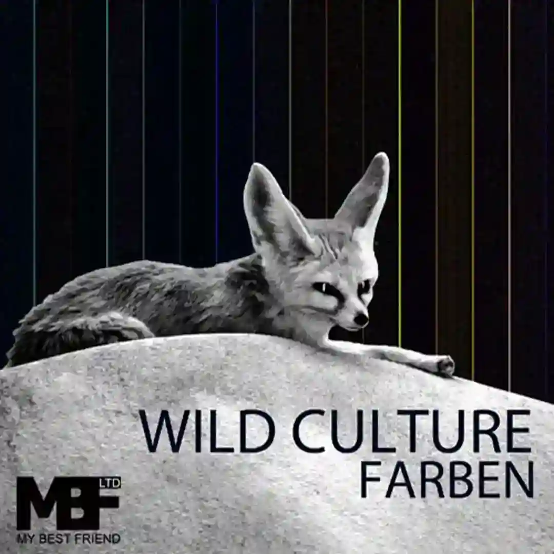 Farben (Philipp Straub Remix) cover
