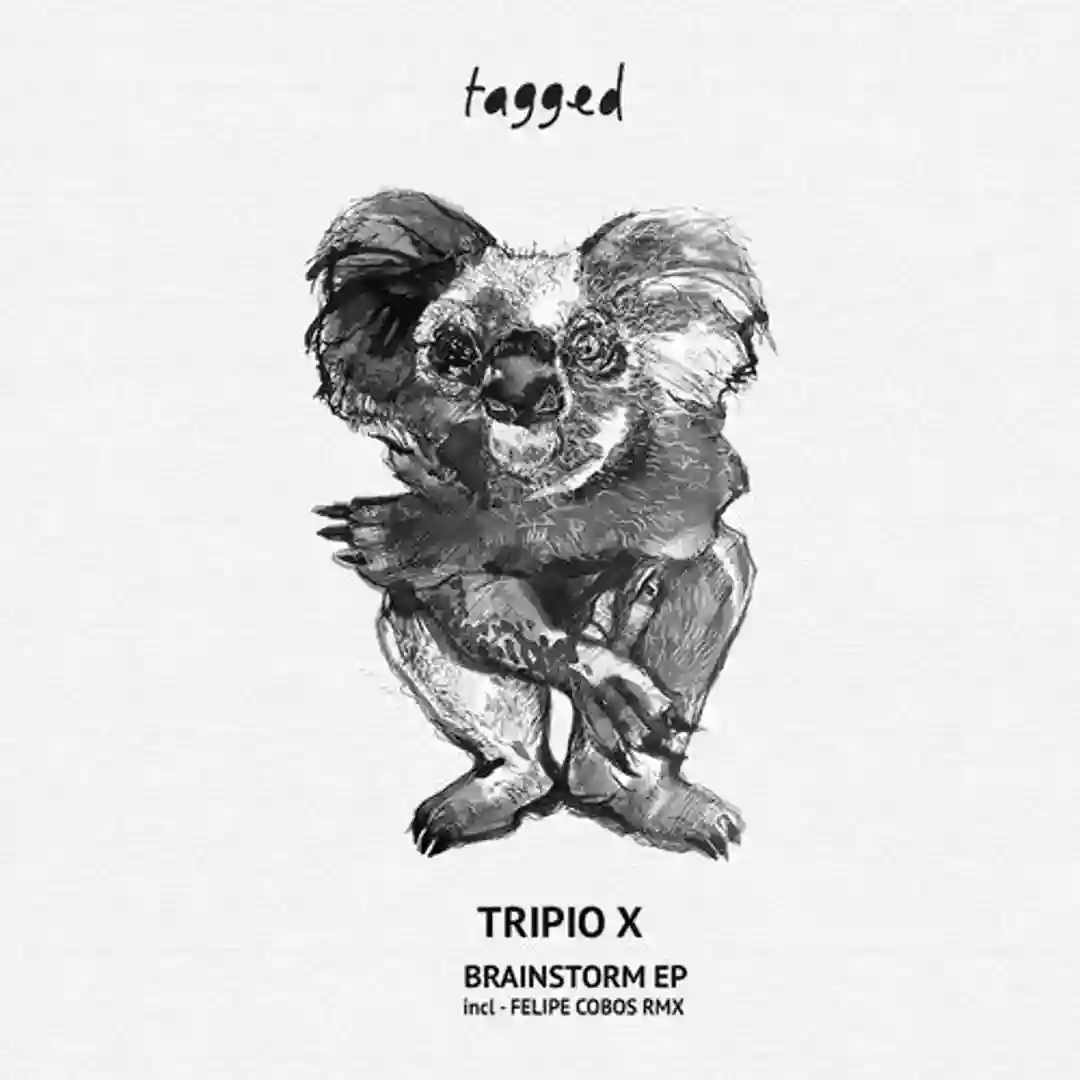 Brainstorm (Felipe Cobos Remix) cover