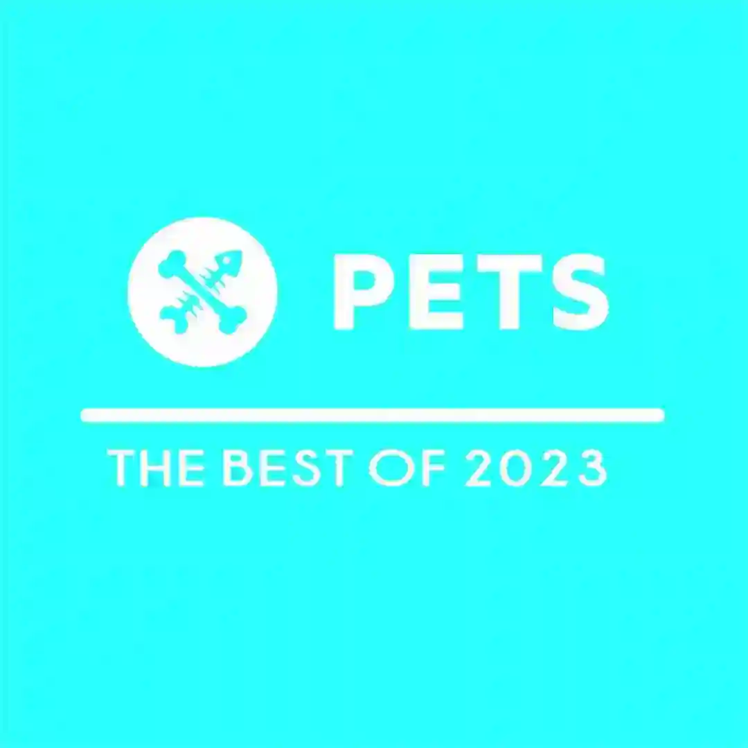 They Frontin' (2023 Remastered Version) cover