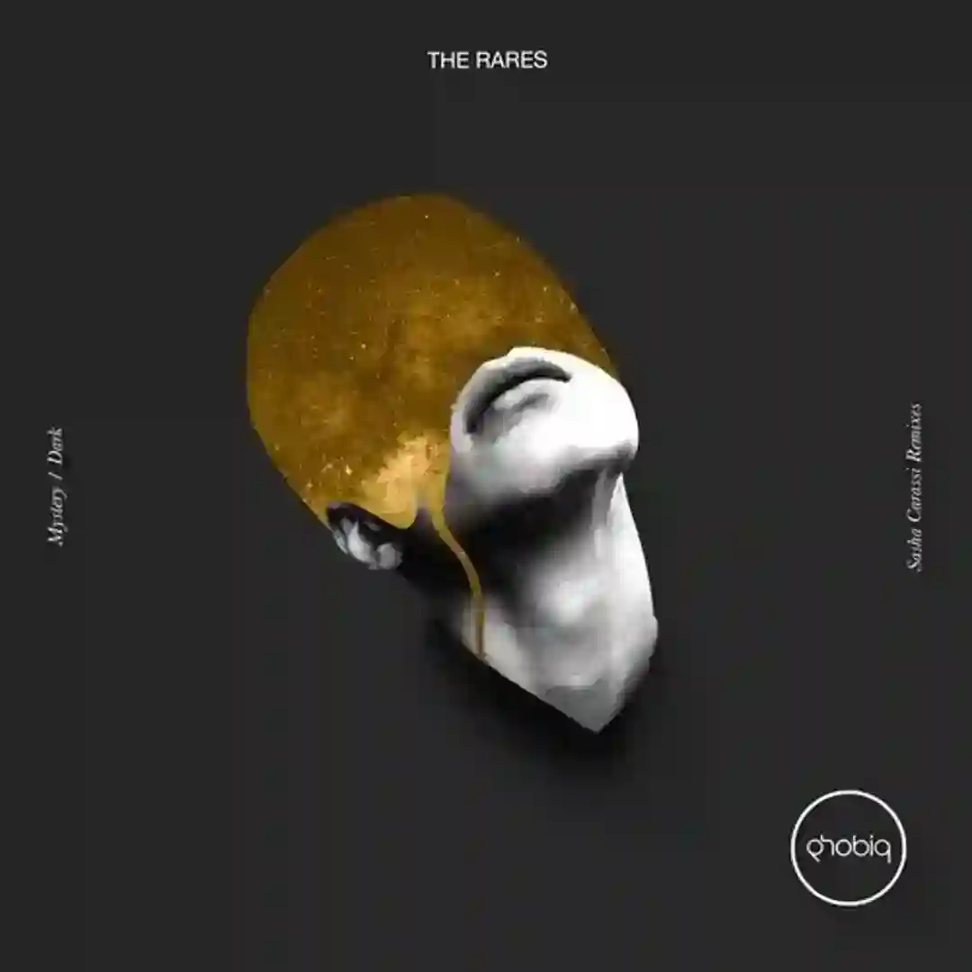 Mystery (Sasha Carassi Remix) cover