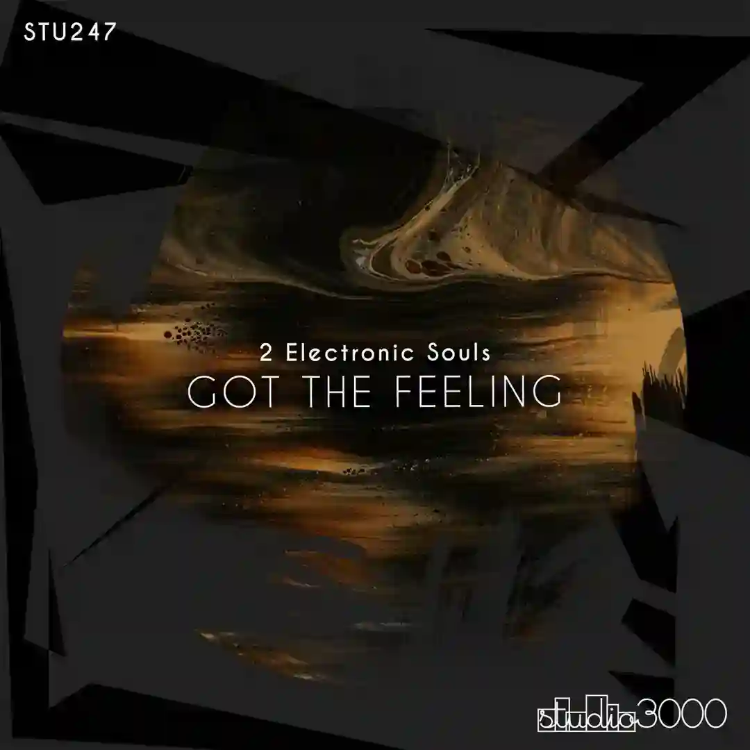 Got The Feeling (Original Mix) cover