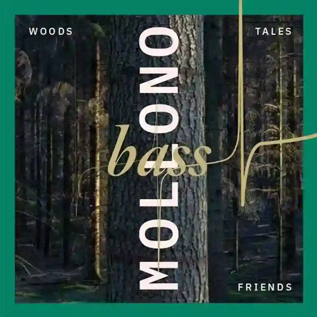 Visions Of A Better World (Original Mix) cover