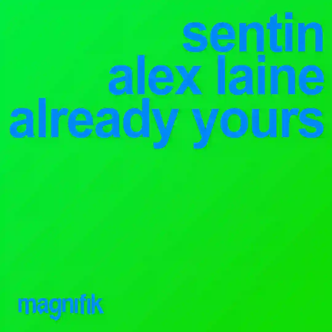 Already Yours cover