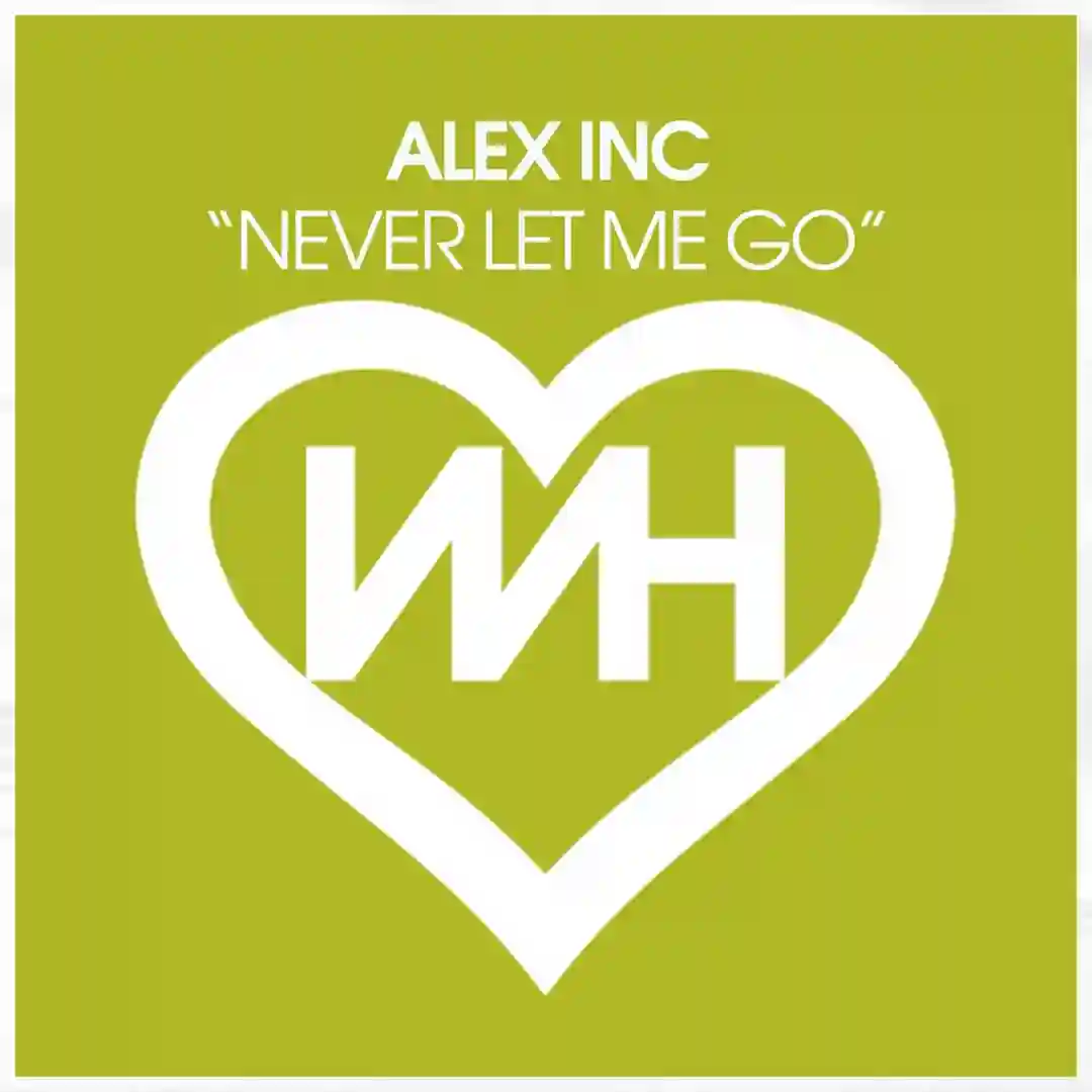 Never Let Me Go (Original Mix) cover