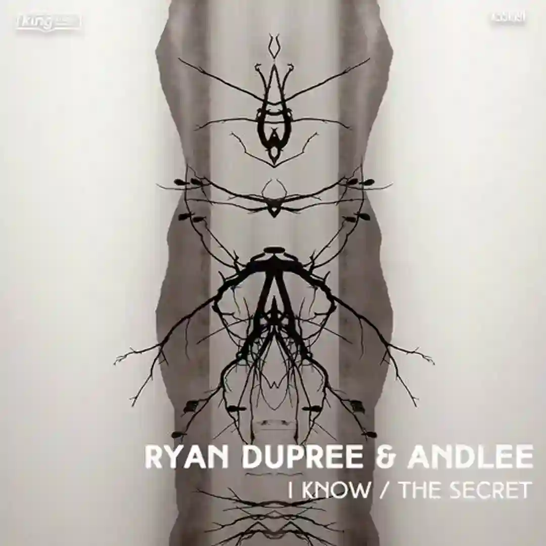 The Secret (Original Mix) cover
