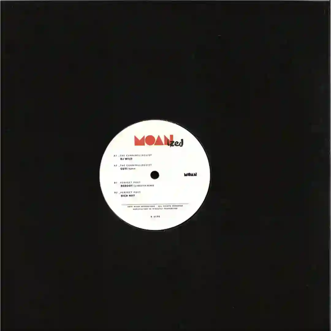 The Cunninglinguist (Guti remix) cover
