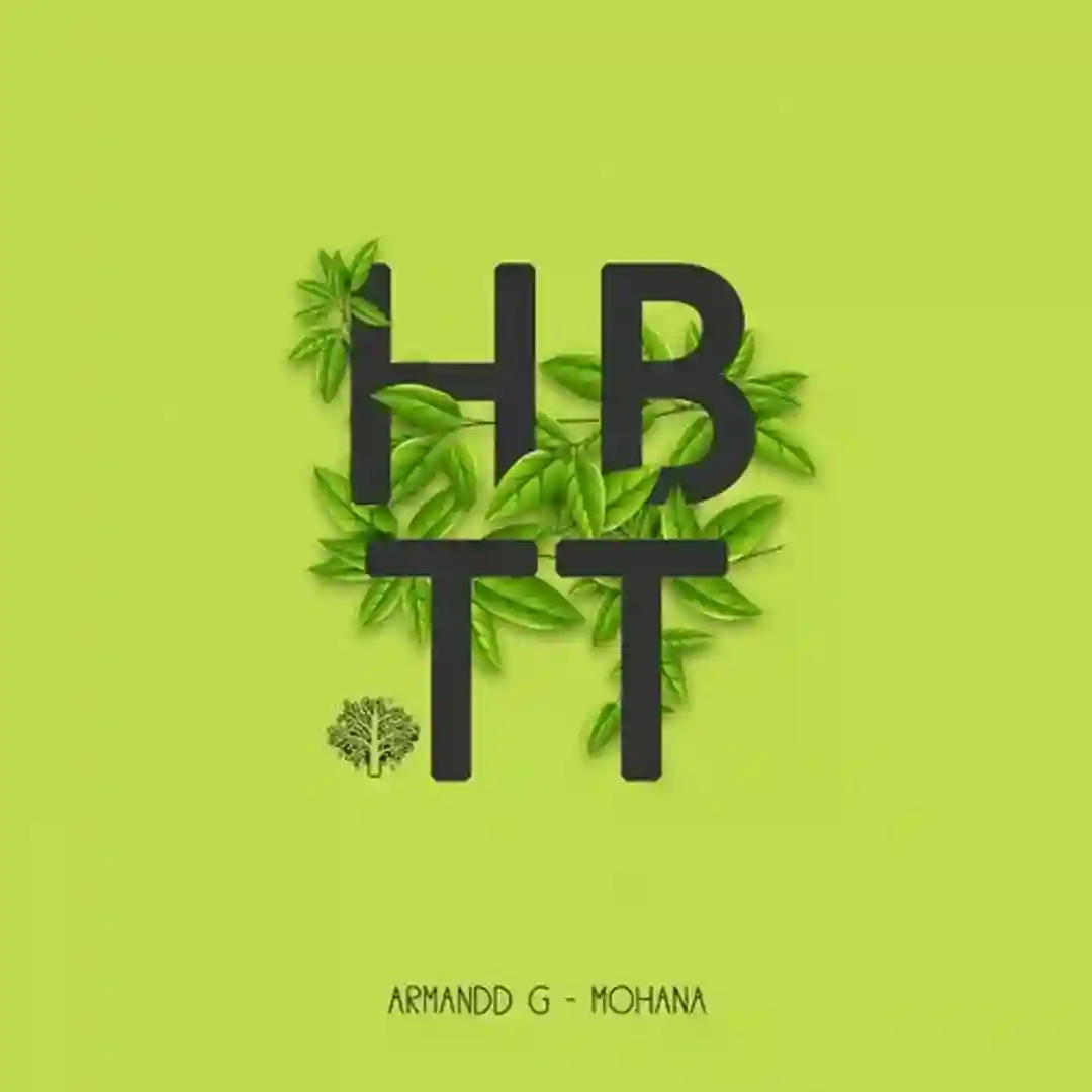 House Tribe (Original Mix) cover