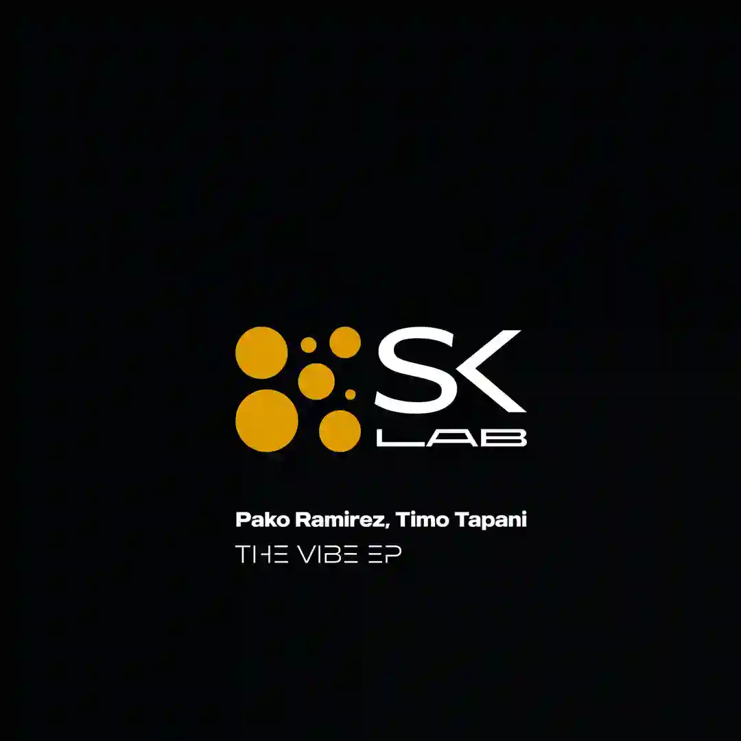 The Vibe (Original Mix) cover