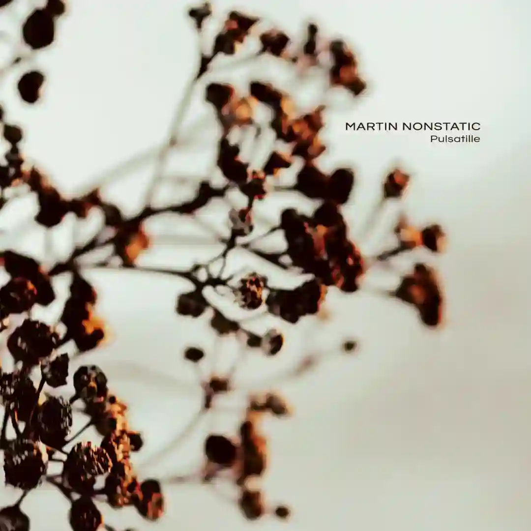 Ekagrata (variation 1) cover