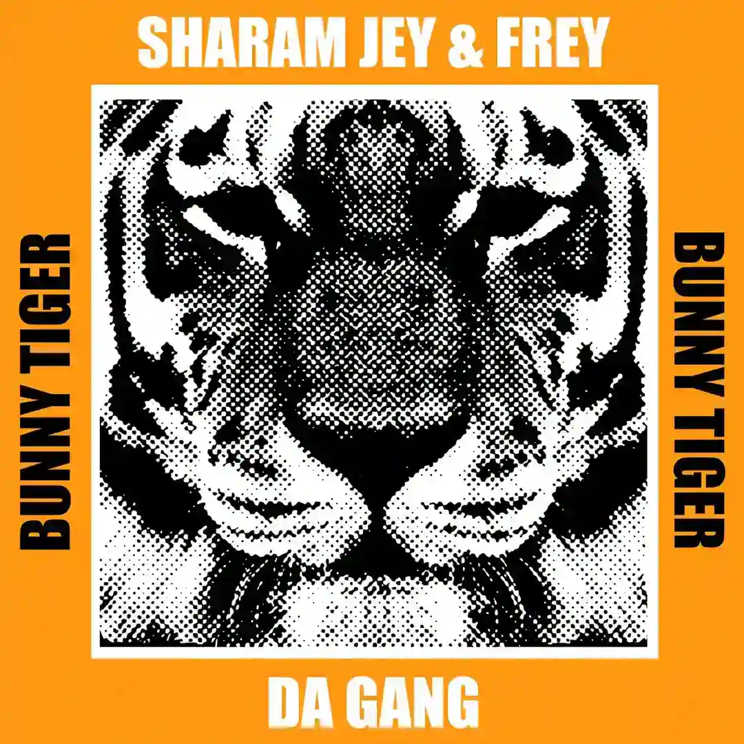 Da Gang cover