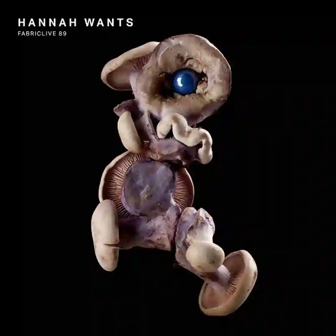Solitary Nights cover