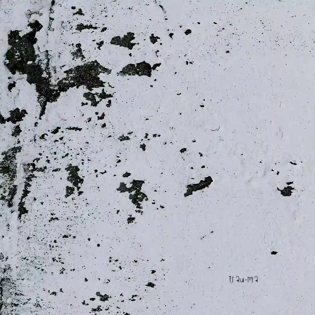 Parapraxis (The Preventer Remix) cover