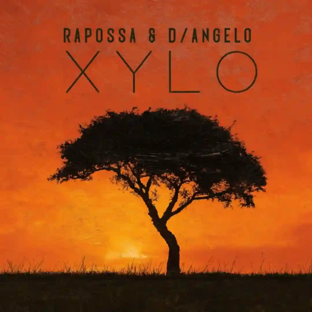 Xylo cover