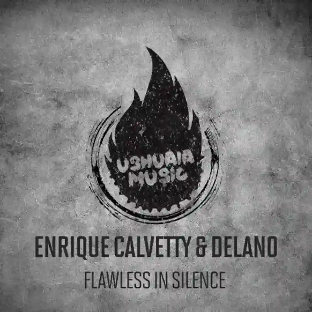 Flawless In Silence (Original Mix) cover