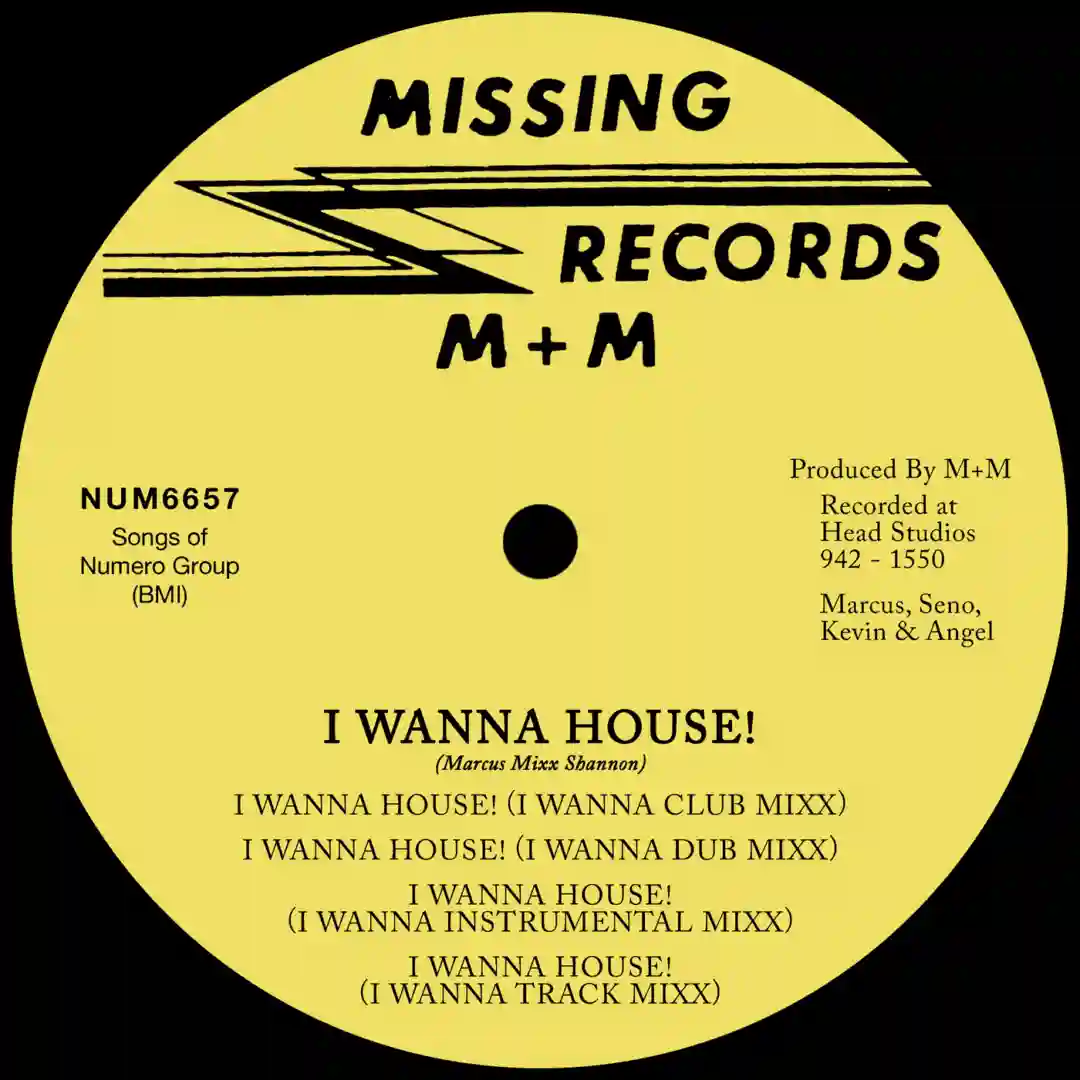 I Wanna House! (I Wanna Instrumental Mixx) cover