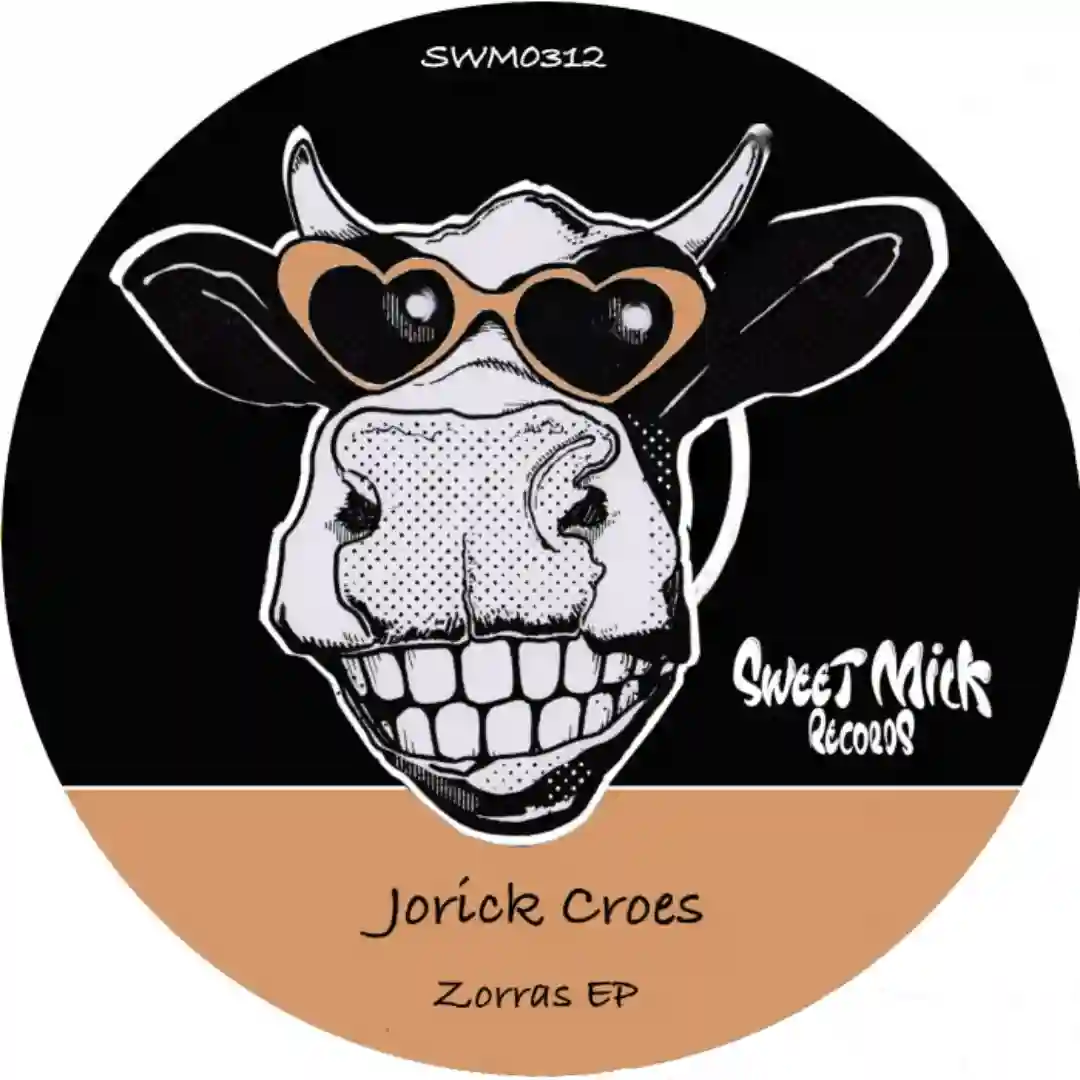Zorras (Ronny Santana Remix) cover