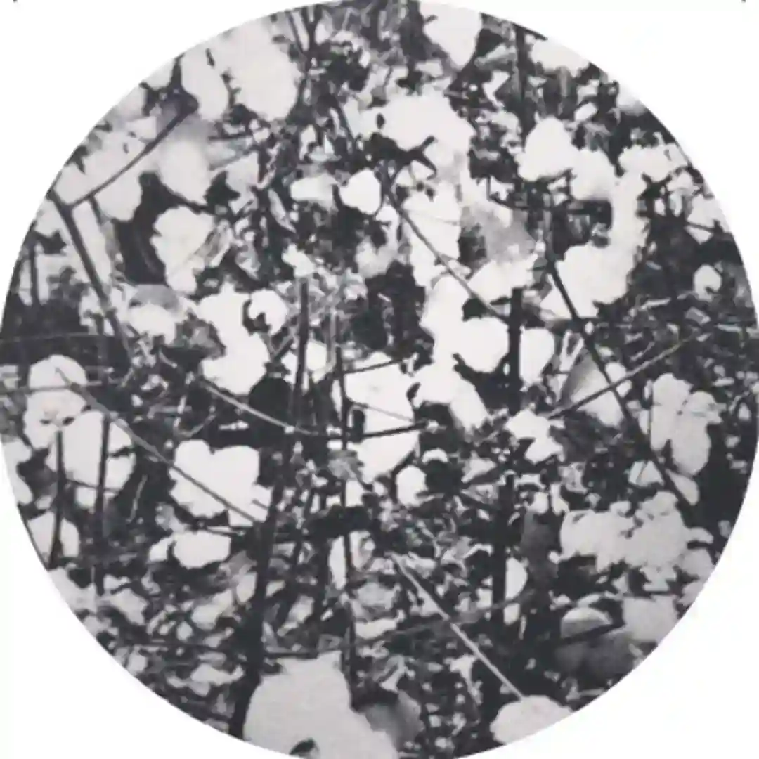 Conquered Enemies (Greymatter Remix) cover