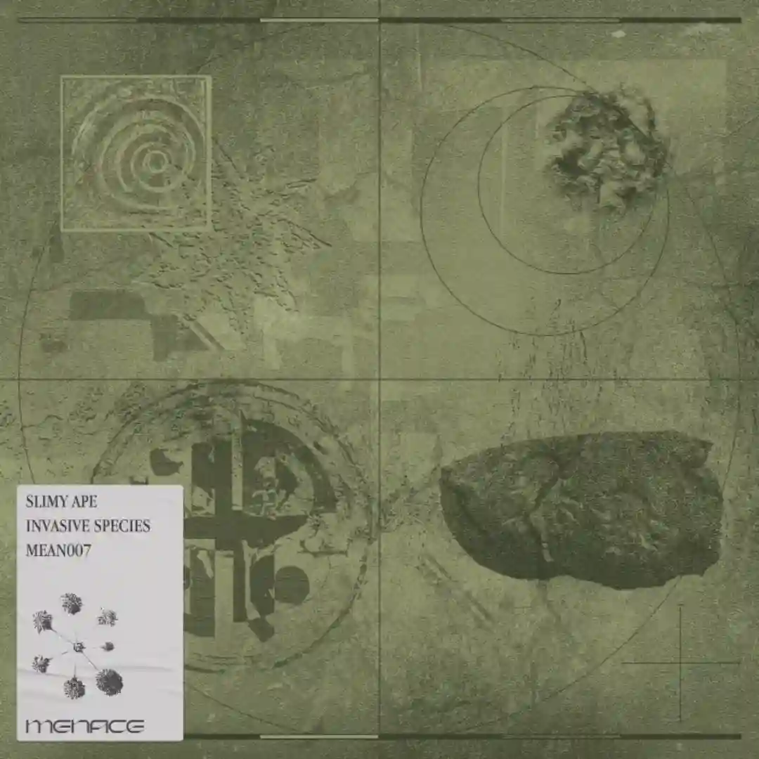 Invasive Species (Original Mix) cover