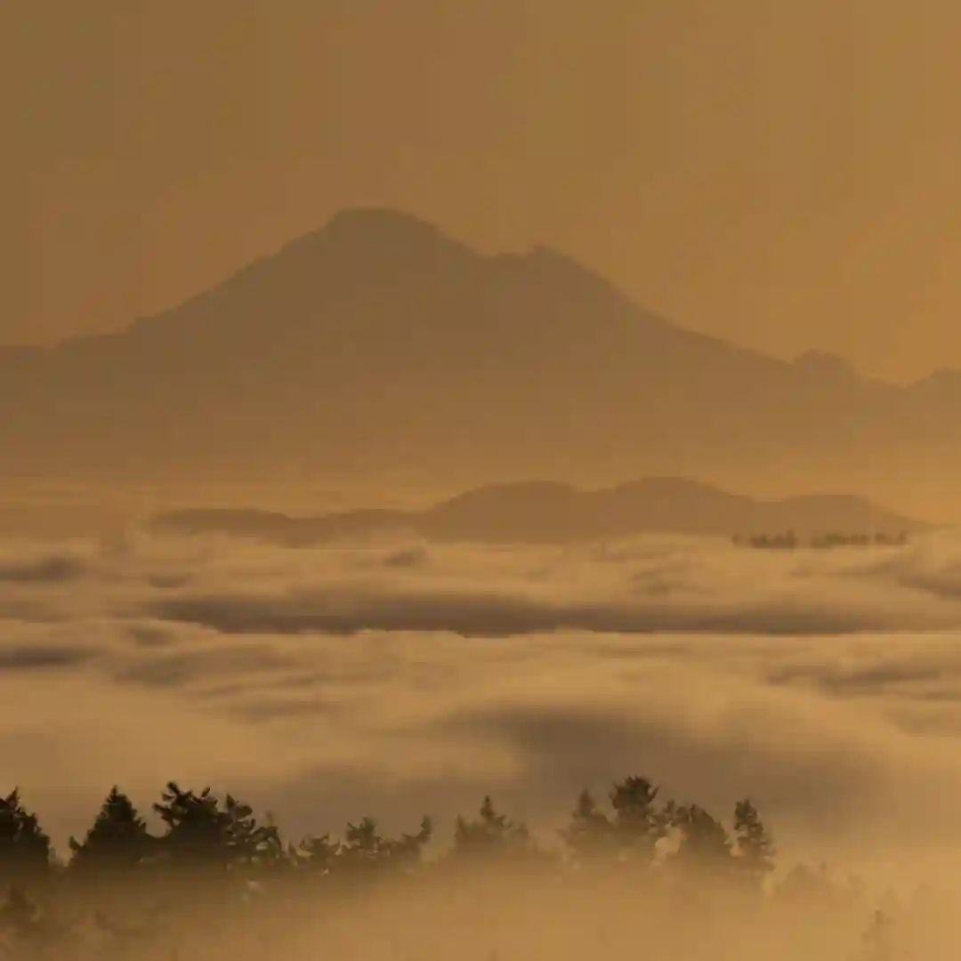 Sunshine Coast cover
